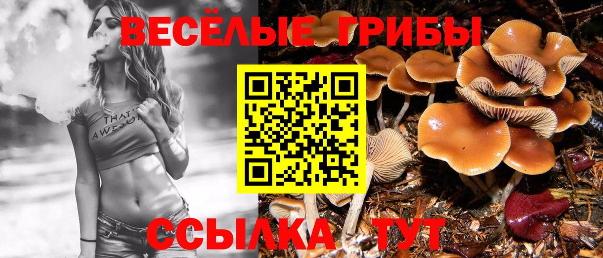 Сердобск  Галлюциногенные грибы прущие грибы  закладка  Вход с VPN 
